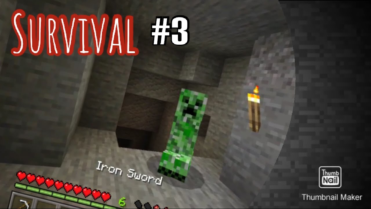 Minecraft survival with HWN #3