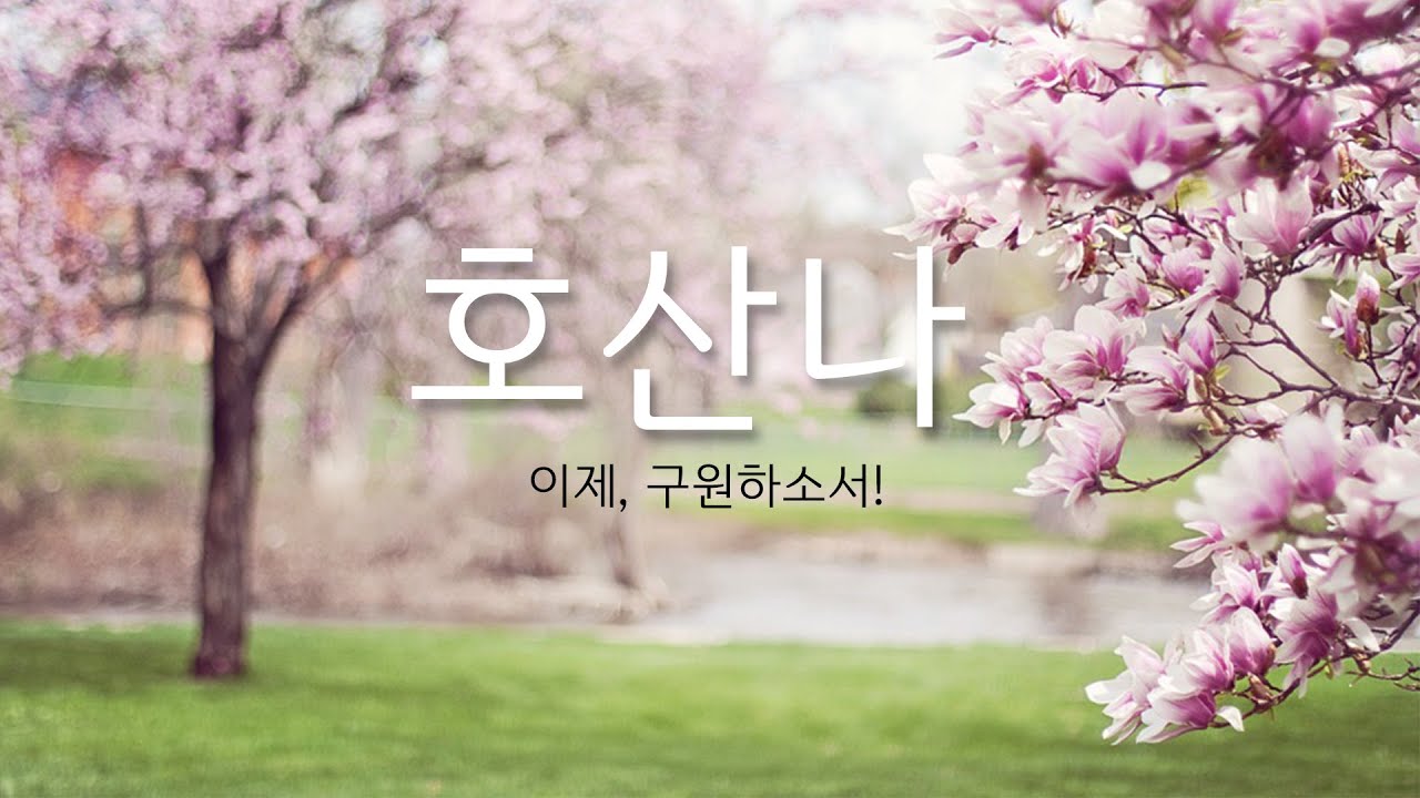 호산나