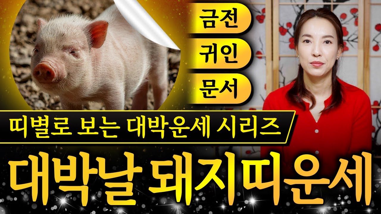 2026년 병오년 돼지띠운세｜95년생,83년생,71년생,59년생 중 금전,귀인,문서로 대박터질 돼지띠는 누구일까?!