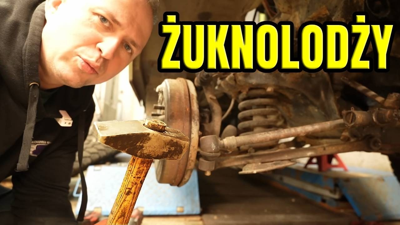 REGENERACJA ORAZ ULEPSZENIE KOŃC&Oacute;WKI KIEROWNICZEJ W ŻUKU