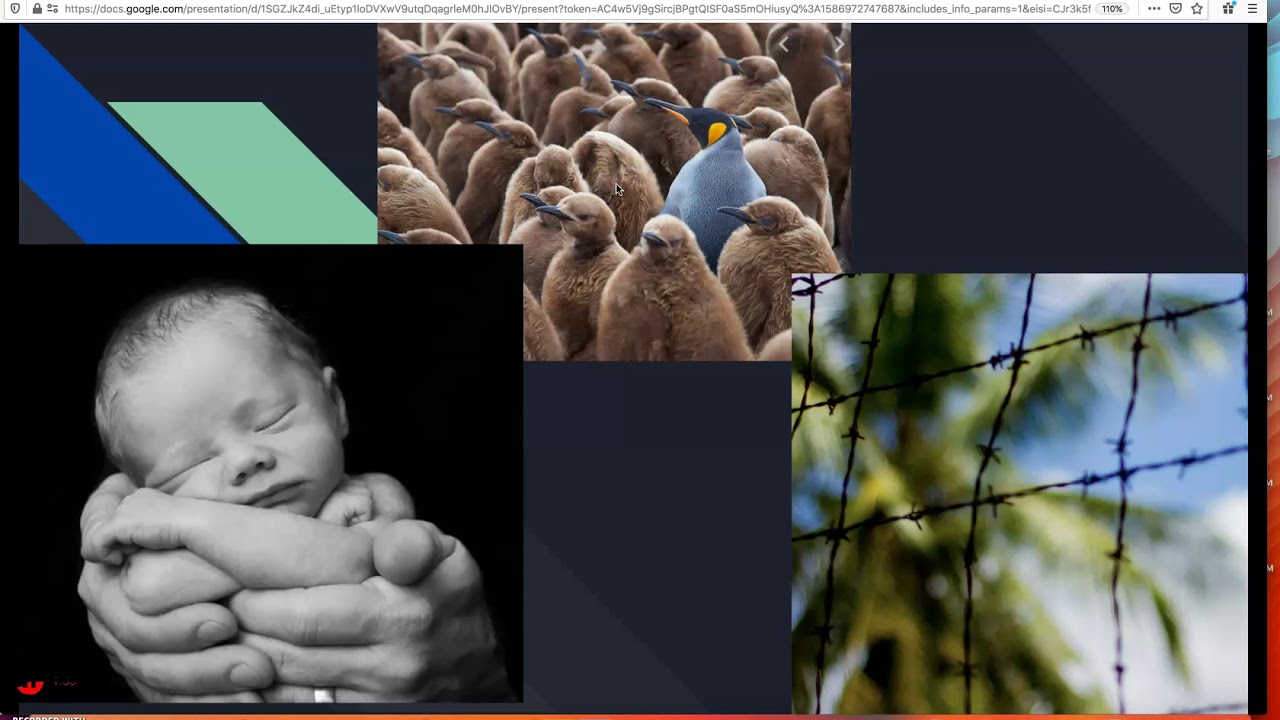 PGT Photography Composition Types Balancing Elements and Juxtaposition