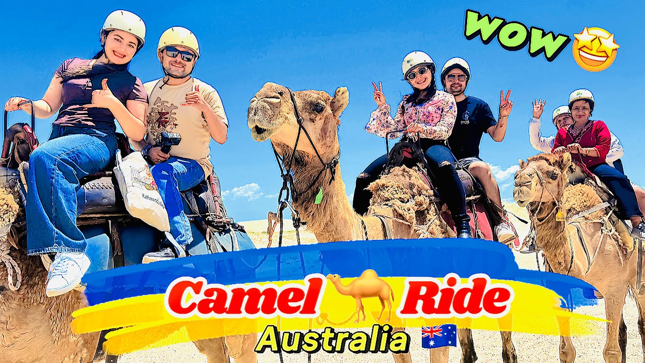 Camel Rides NSW Australia - 4K | Raajvlogs