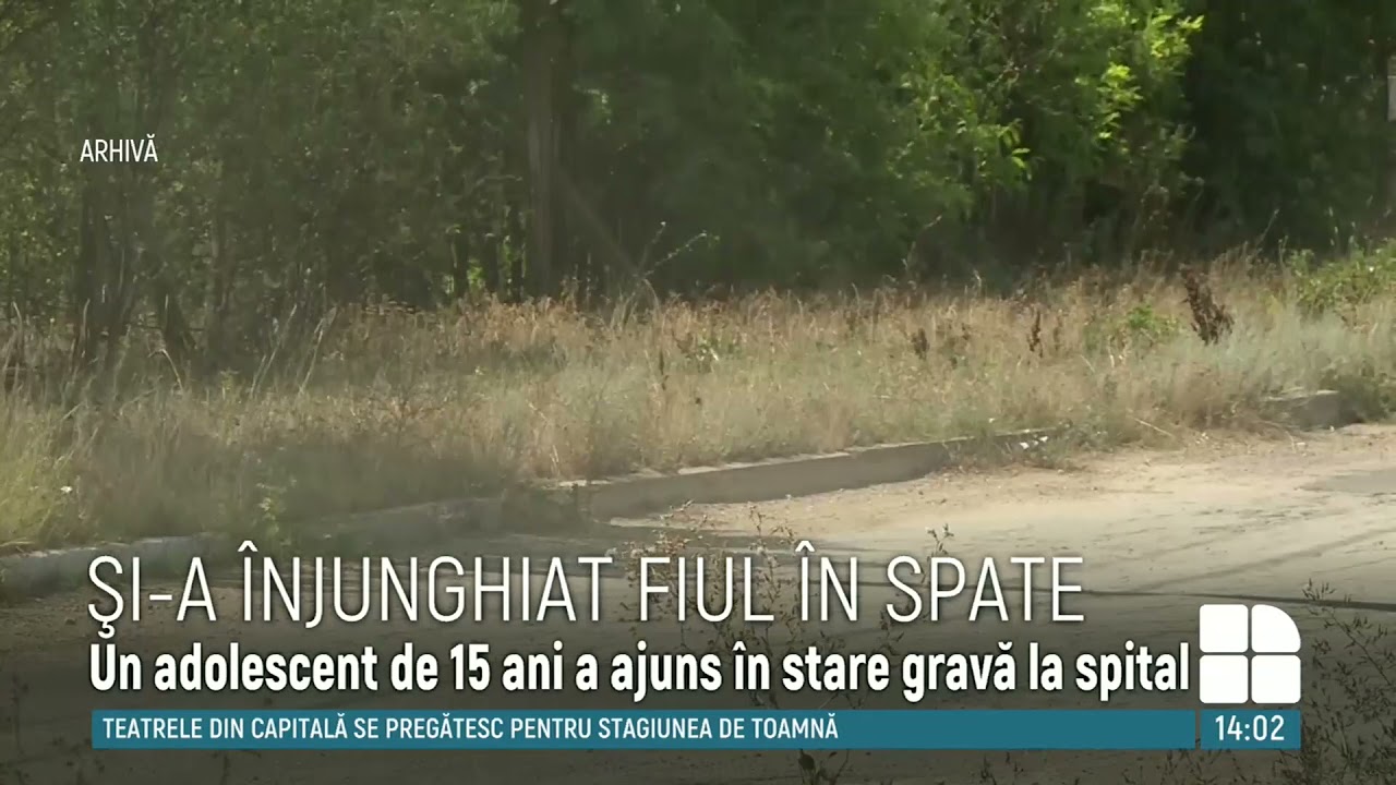 Caz ȘOCANT &icirc;n raionul Telenești. Un tată și-a &icirc;njunghiat fiul &icirc;n urma unui conflict