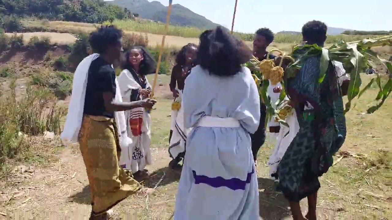 #masharada #habesha #duet #dance #art #lifeisbutadream 