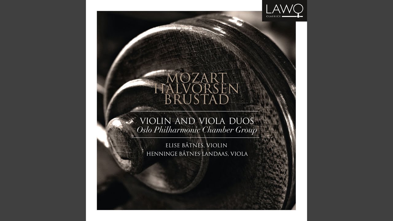 Capricci for Violin og Viola I. Moderato