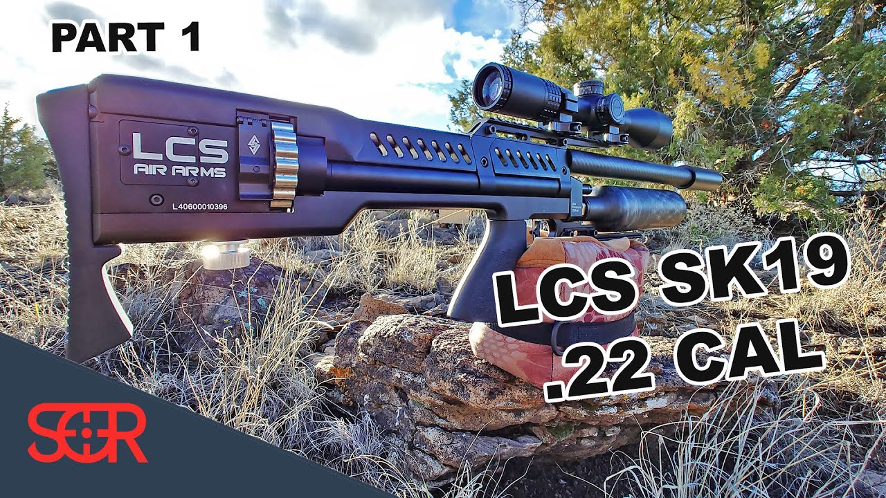 LCS Air Arms SK19 .22 cal - REVIEW PART 1