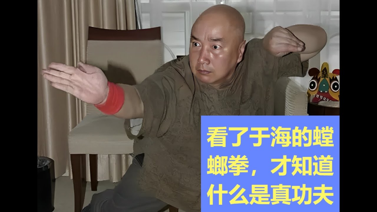 看了于海老师打的螳螂拳，我才知道传统武术是可以实战的
