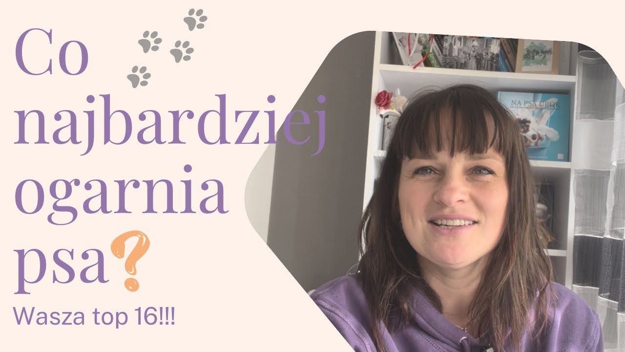 Co najbardziej ogarnia psa? Najbardziej sprawdzone sposoby! Wasze top 16 🔥