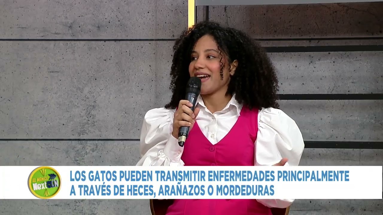 El Mangú de la Mañana | Consejos de la Dra. Taiddy Delgado para el bienestar de los gatos