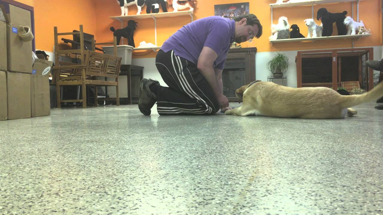 Conditioned relaxation and the Treat game (experimenting with a concept)