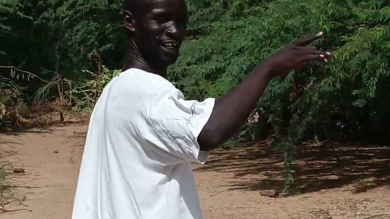 Today I take a visit in our bush with my friend  to look for the brash that we used to brash teeth 