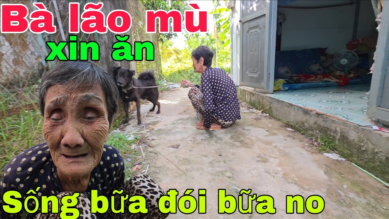 Nước mắt chan cơm Bà lão sống một mình bữa đói bữa no.  Nghĩa Phước Vlog 