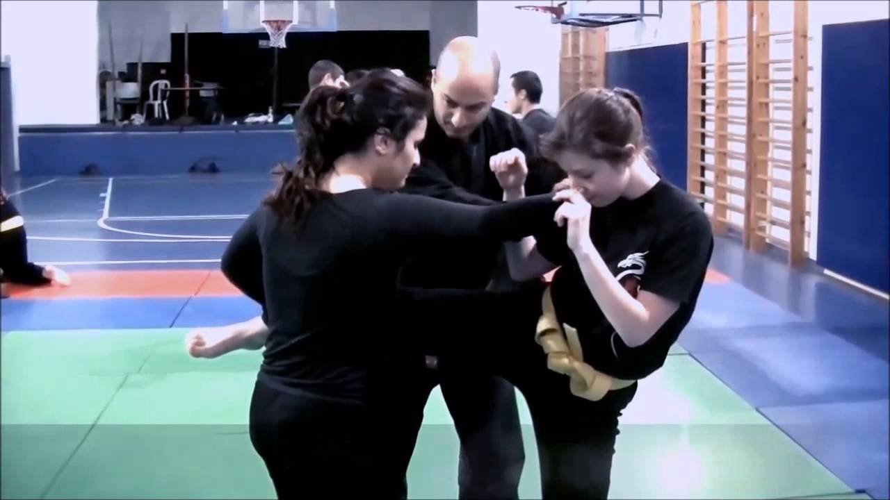נינג'וטסו דוג'ו סיירן ינואר-פברואר Ninjutsu Israel Dojo Seiren January-February 2014