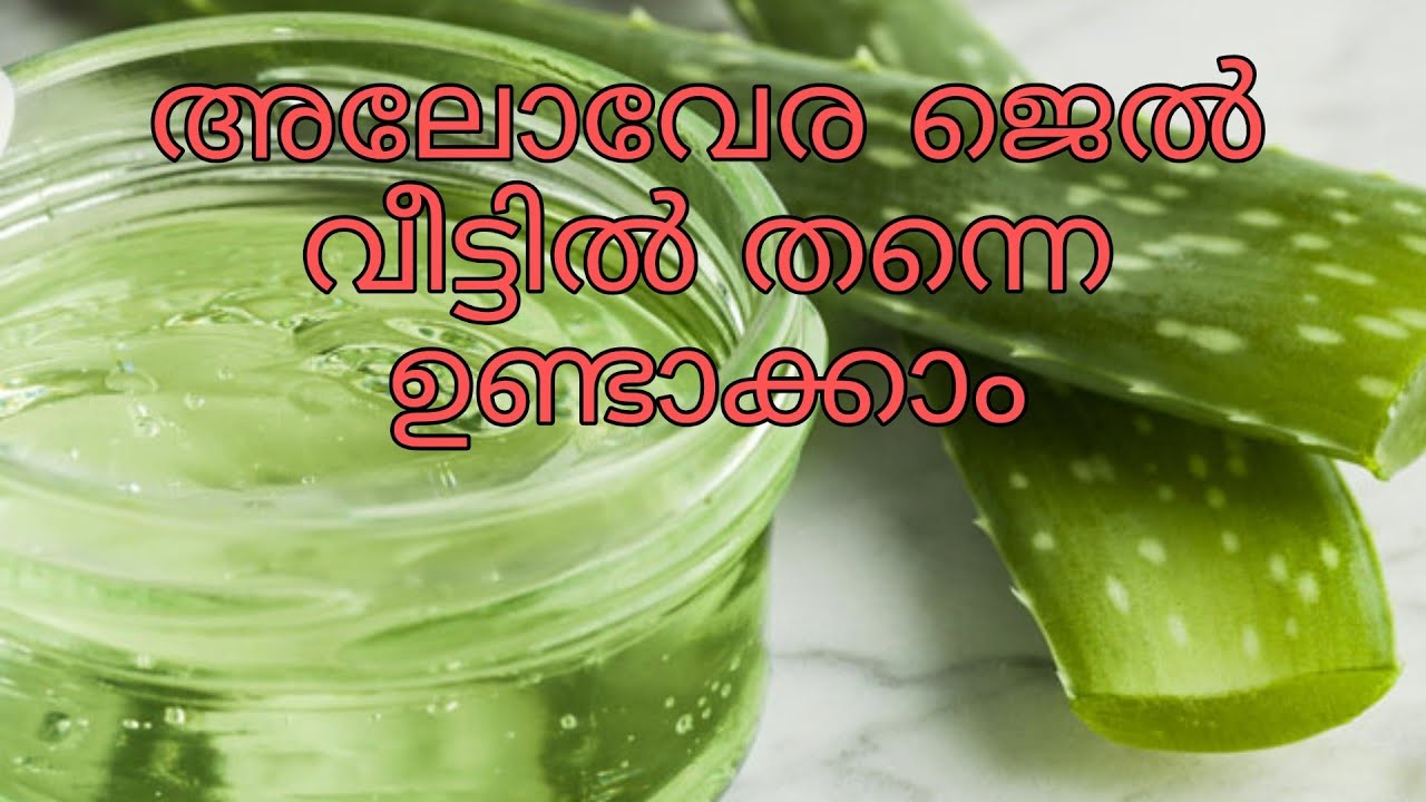 Aloe Vera Gel at Home/കറ്റാർവാഴ ജെൽ വീട്ടിൽ തന്നെ ഈസി ആയി ഉണ്ടാക്കാം