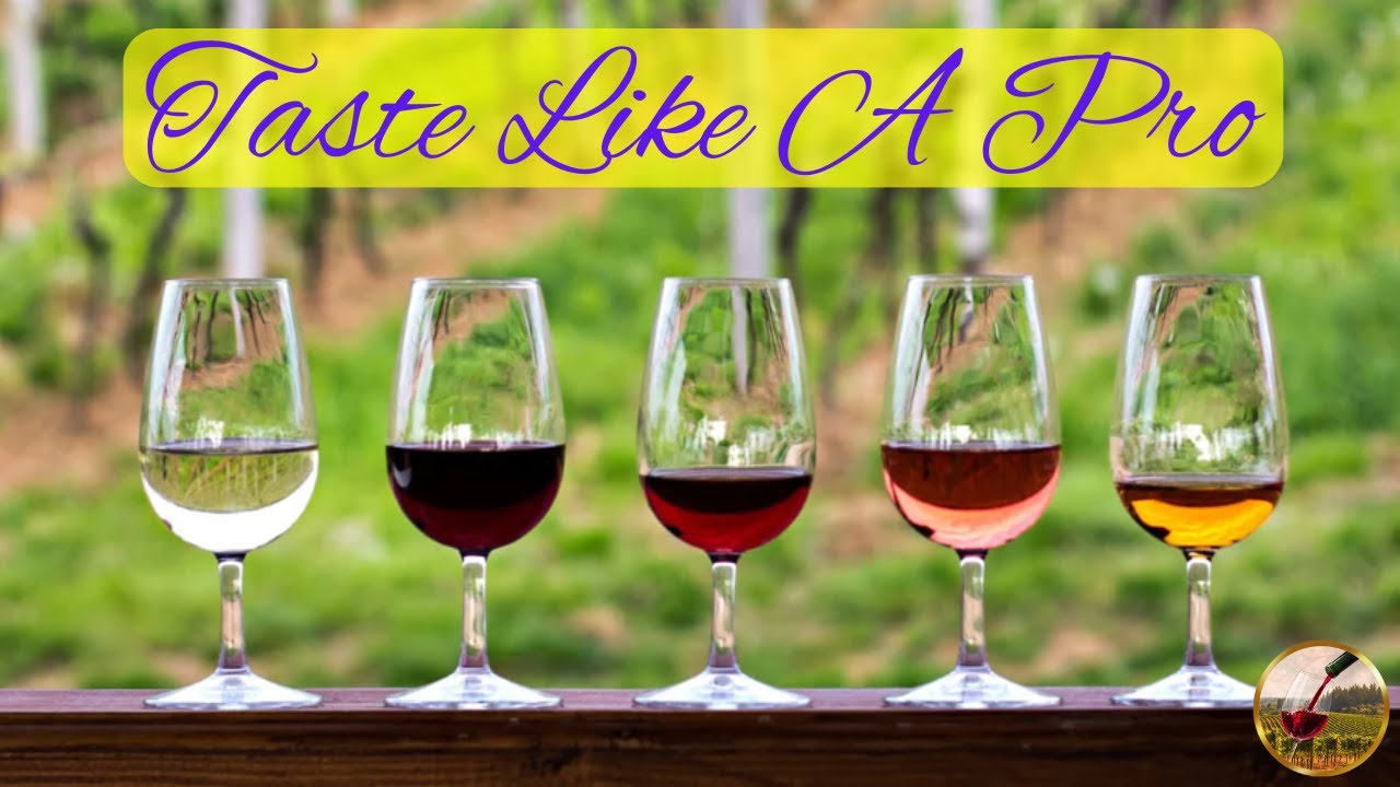 Master Wine Tasting | Tips and Techniques for Beginners