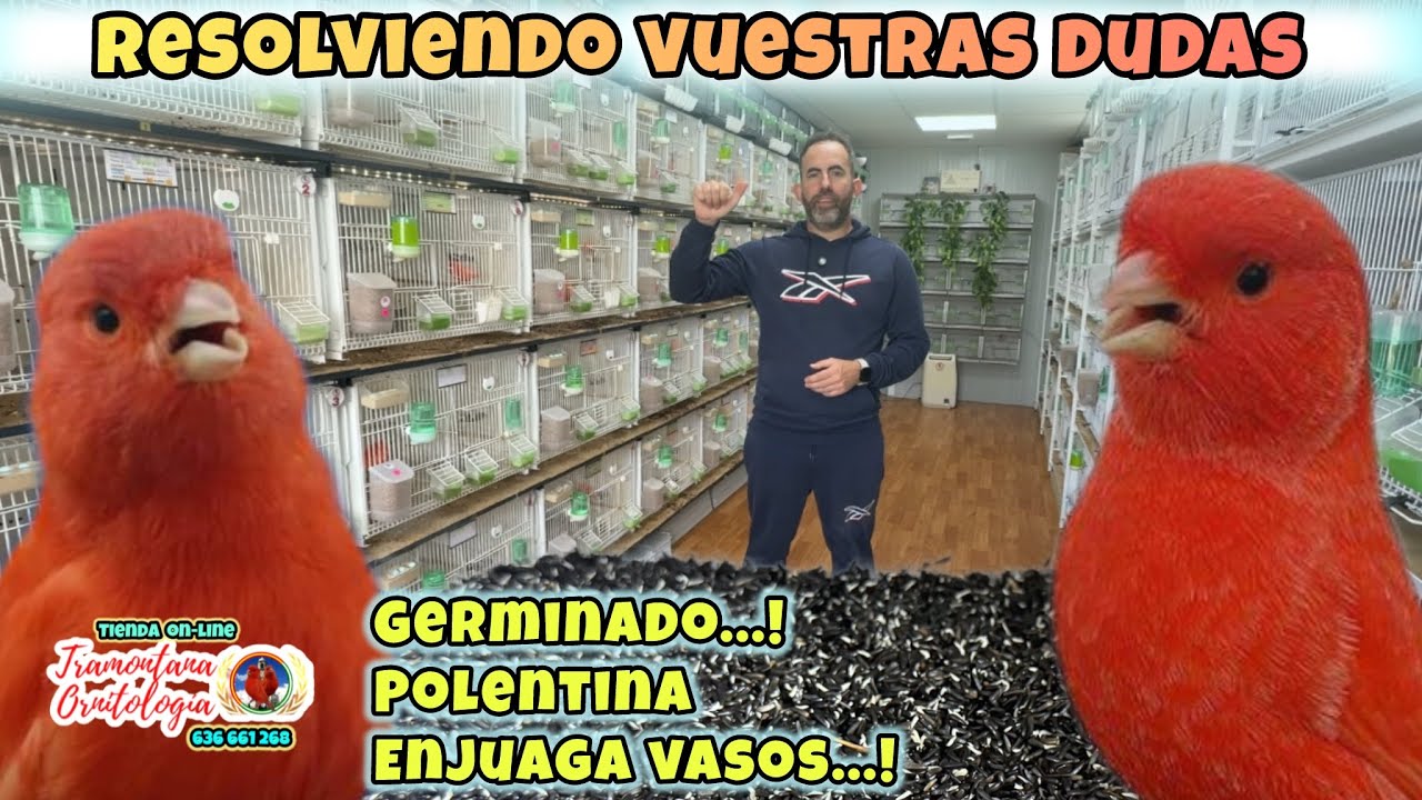 Mejoras en temporada de CRÍA!!