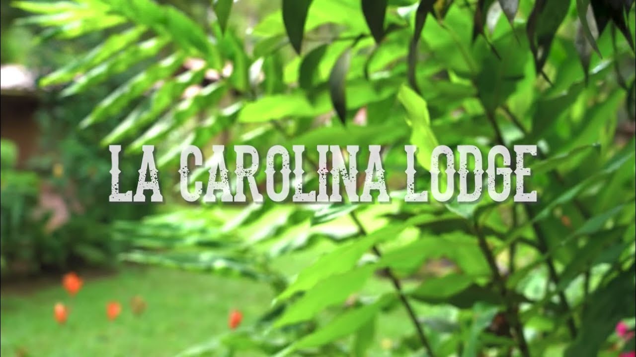 La Carolina Lodge Intro Video