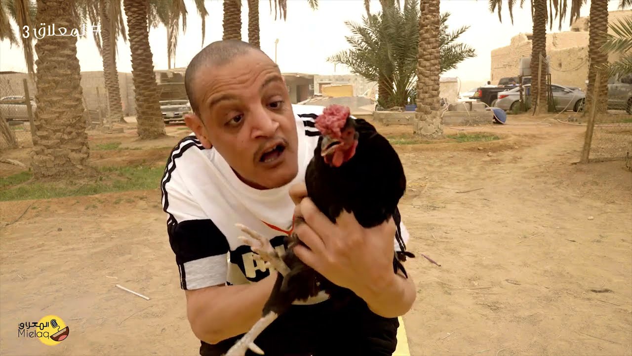 المصارعة الحرة  المعلاق 13