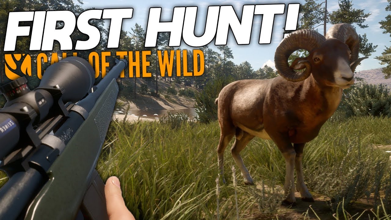 First Hunt on Cuatro Colinas! | theHunter: Call Of The Wild
