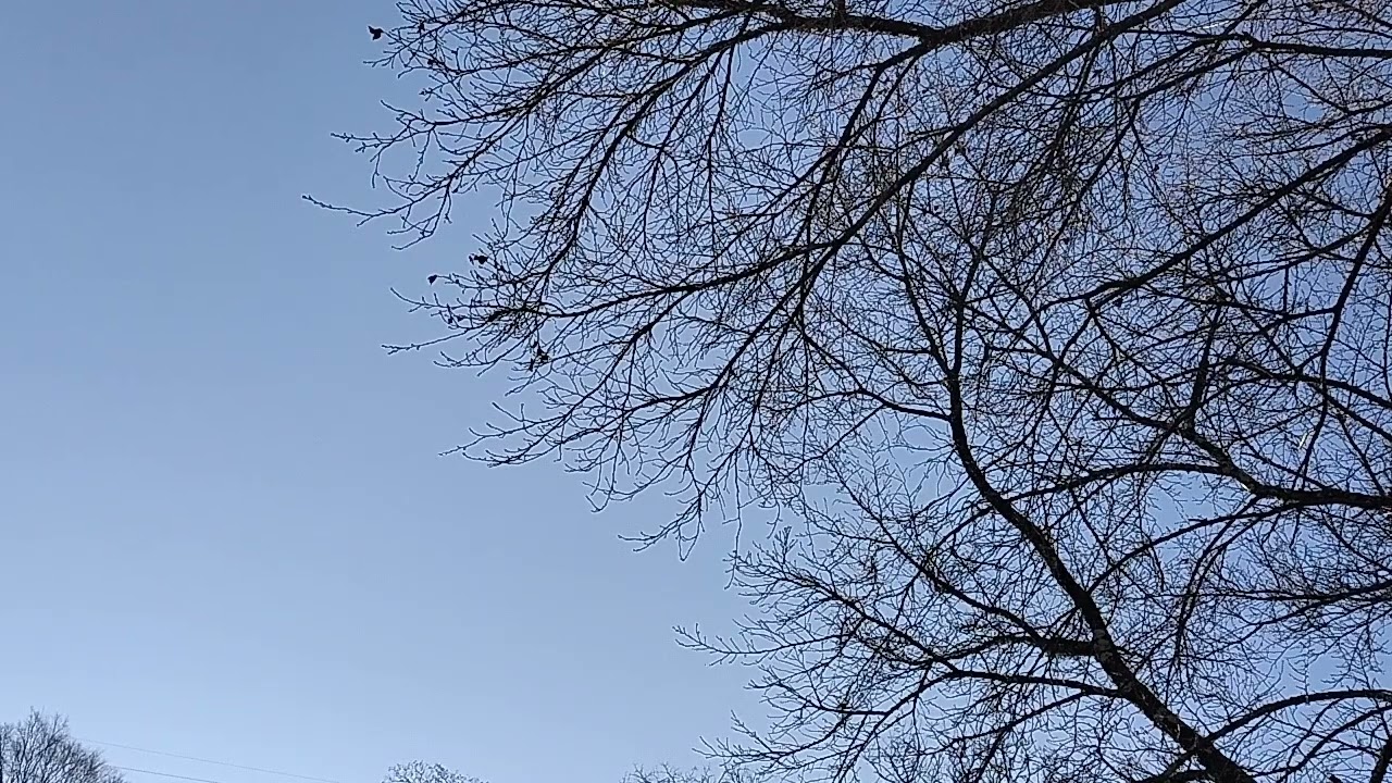2026年1月10日