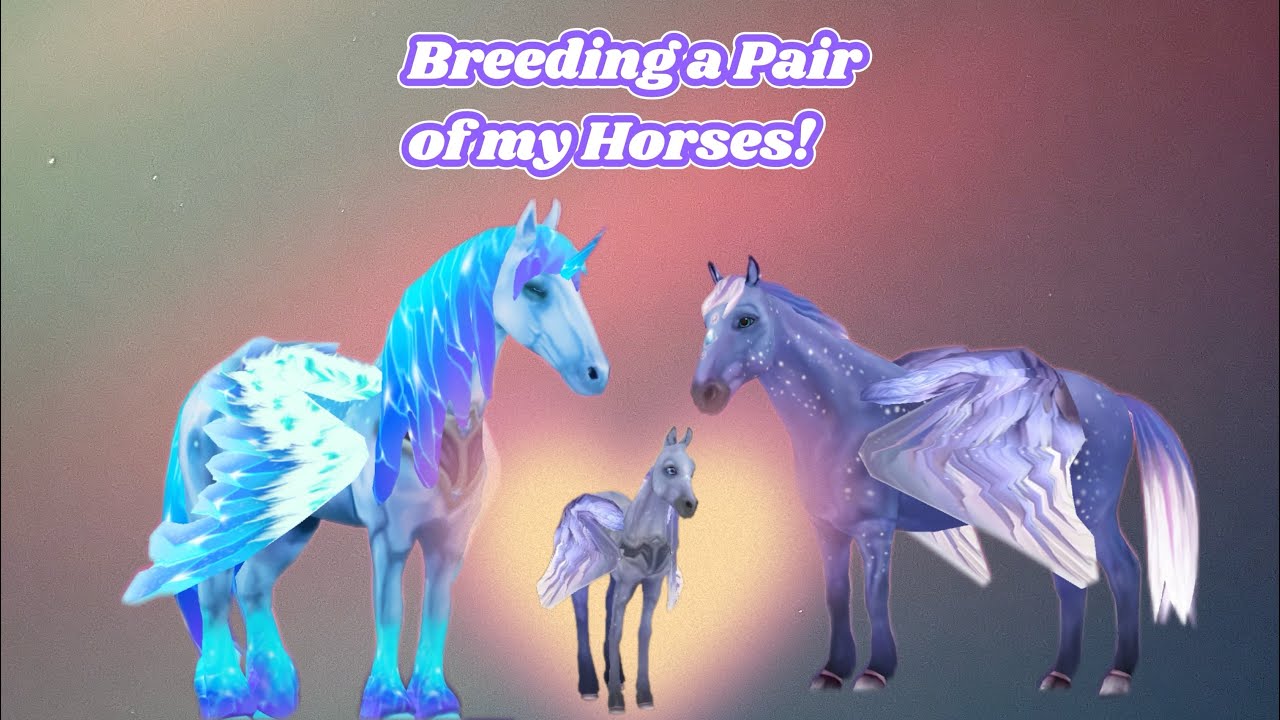 Breeding a New Horse!