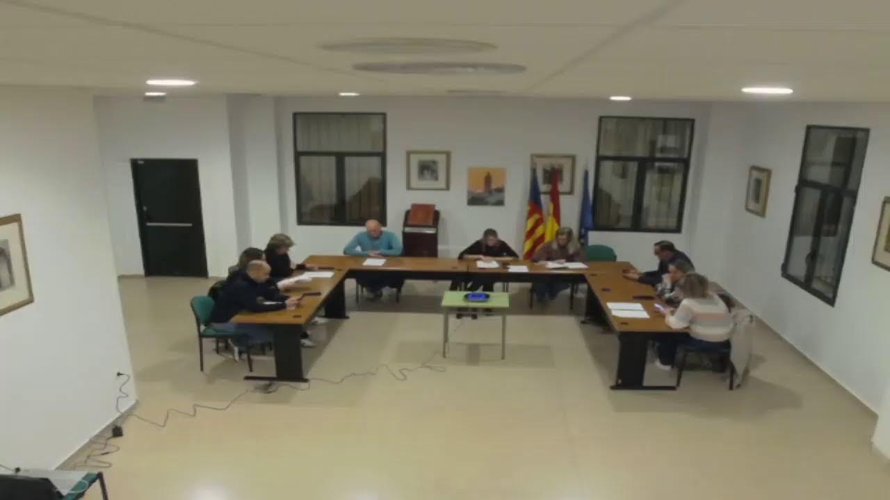 Plenari ordinari del 25 de Febrer de 2026