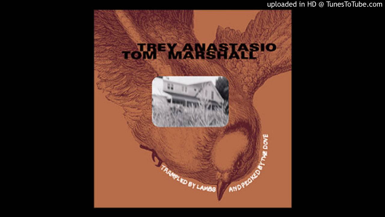 Trey Anastasio + Tom Marshall - Blue and Shiny
