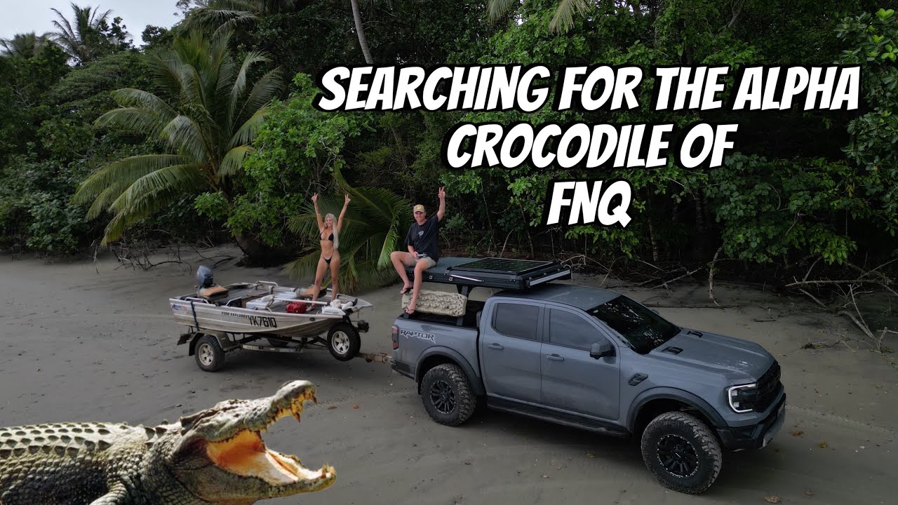 Searching Cape Tribulation for wild saltwater crocodiles