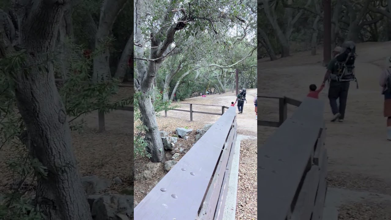 Hidden Gem Hike: 1.5 Miles of Magic at Oak Canyon! 