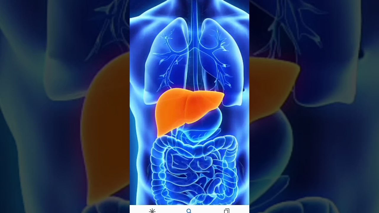 liver is the regenreted on drink the full of water