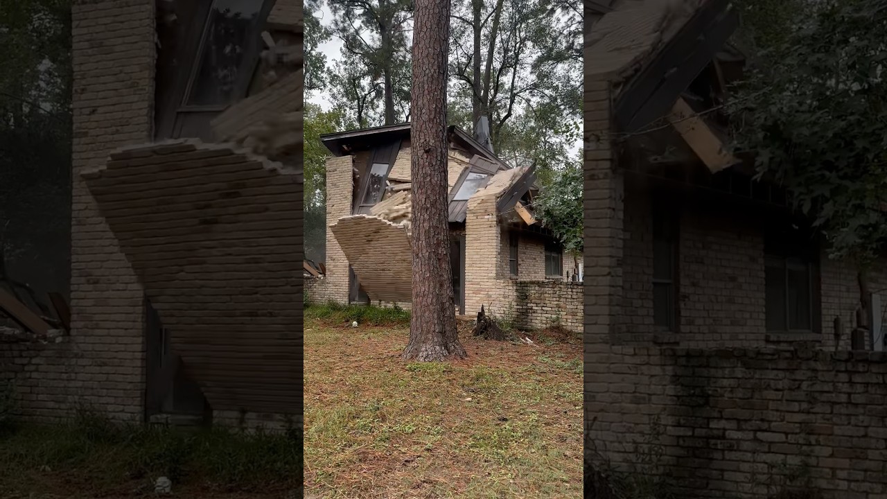 No more squatters 🤷🏼&zwj;♂️ owner took action into his own hands.#squatersrights #squater #fyp  iykyk