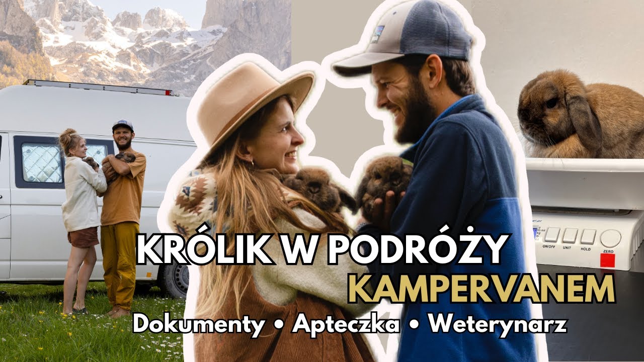 Królik w podróży - dokumenty, apteczka i weterynarz