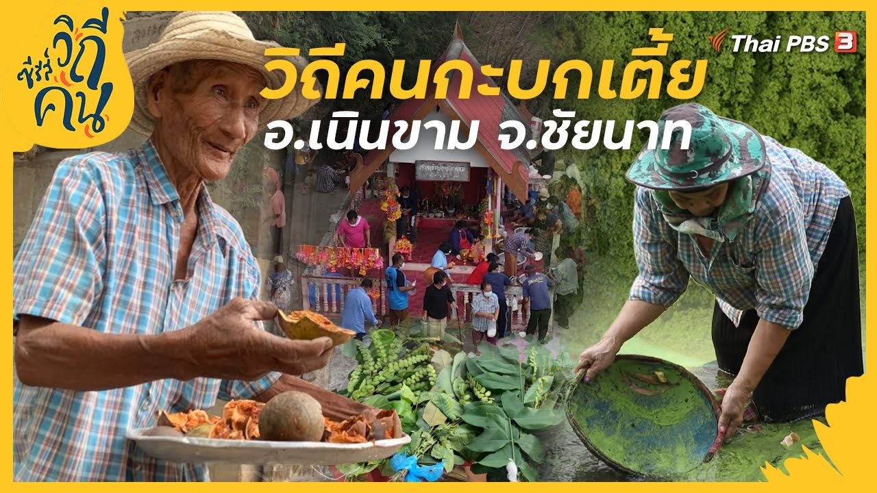 วิถีคนกะบกเตี้ย อ.เนินขาม จ.ชัยนาท | ซีรีส์วิถีคน [CC]
