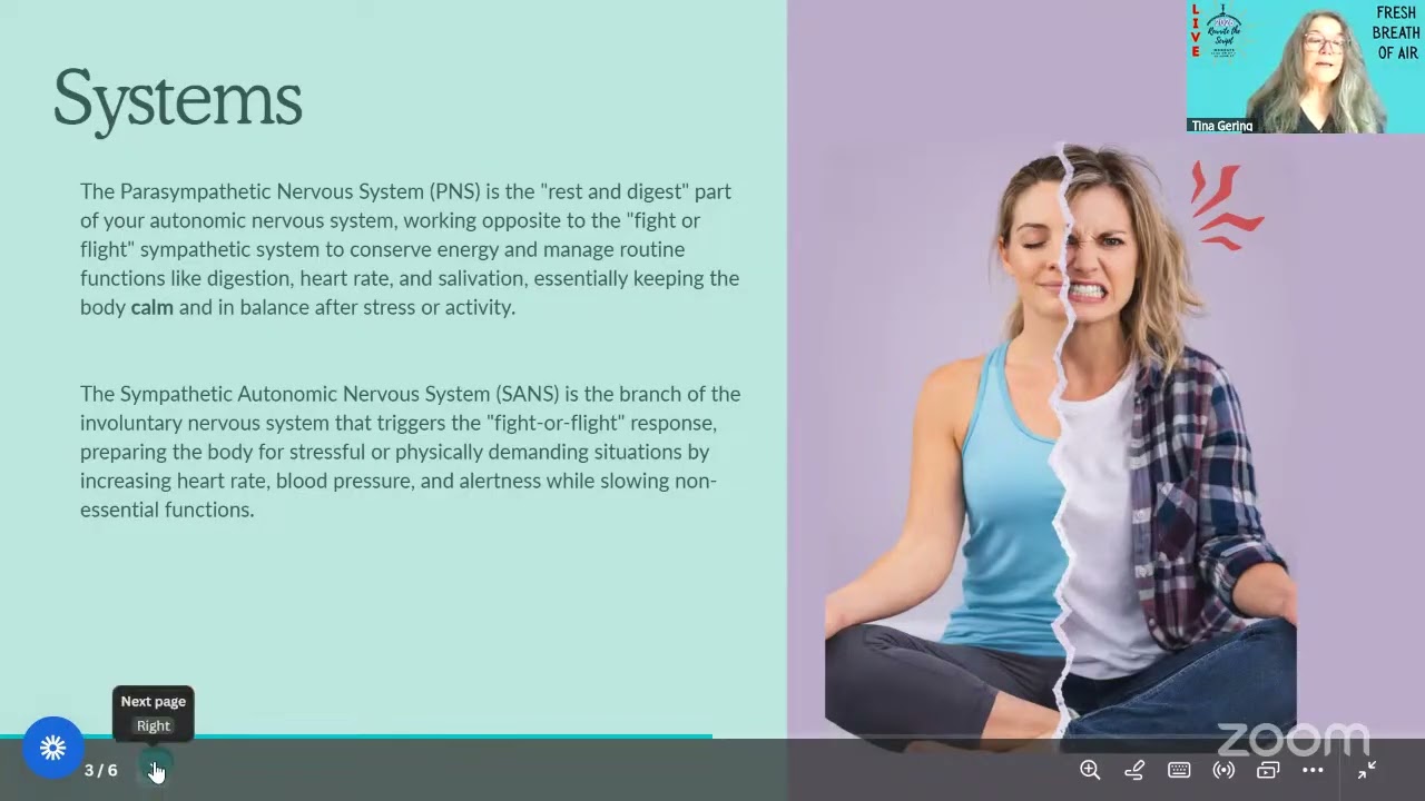 Fresh Breath of Air - Daily Challenge 1