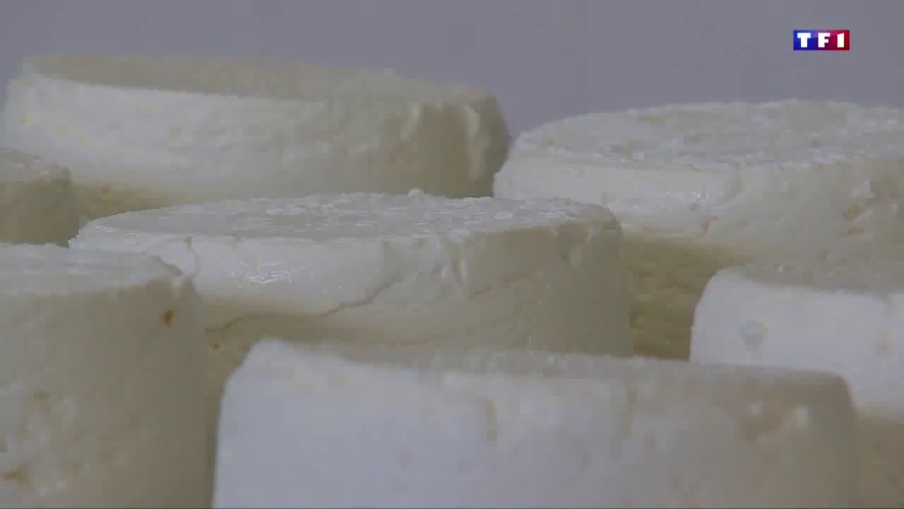 Le chaource un fromage qui fait la fierte des Aubois