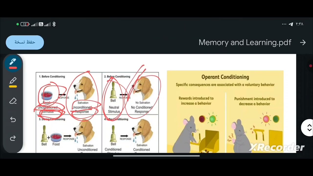 Learning | CNS physiology