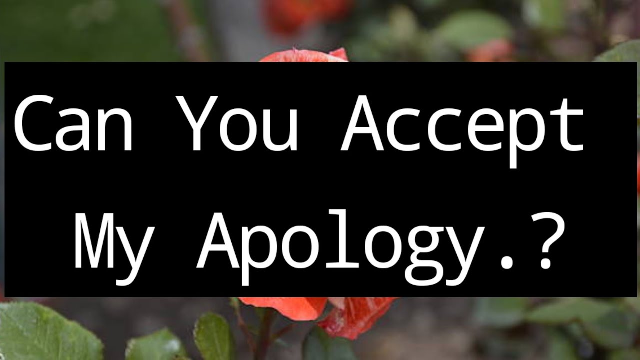 DM to DF ☺️👩‍❤️‍👨💕 || Can You Accept My Apology.?😘🌹💌😍👩‍❤️‍👨💕 || Love Letters💌❤️🫂💝❤️👩‍❤️‍👨