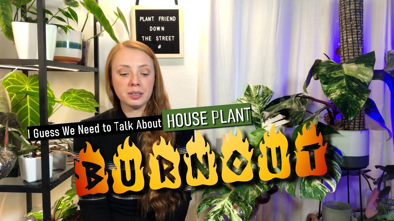 Why Is The Plant Community Burning Out?