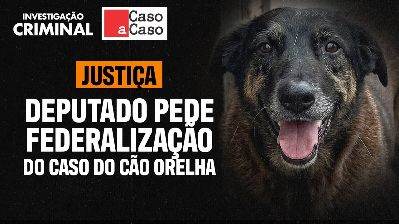 CASO ORELHA GERA INDIGNAÇÃO E MOBILIZAÇÃO - CASO A CASO