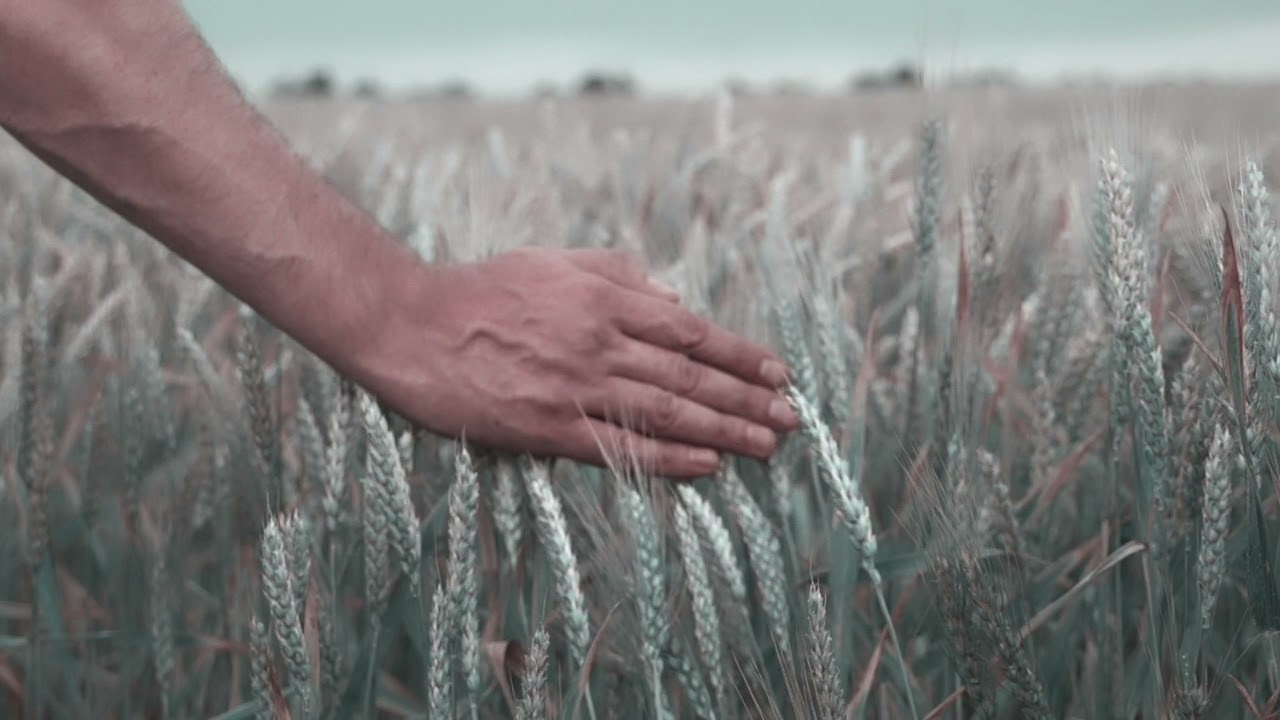 терма манманлик билан урнида турган қошни