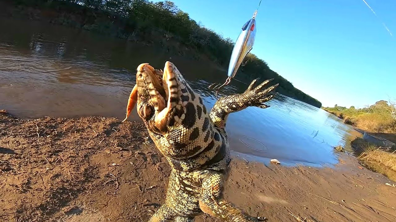 PESCA Y COCINA EN RÍO MILENARIO. pesca urbana
