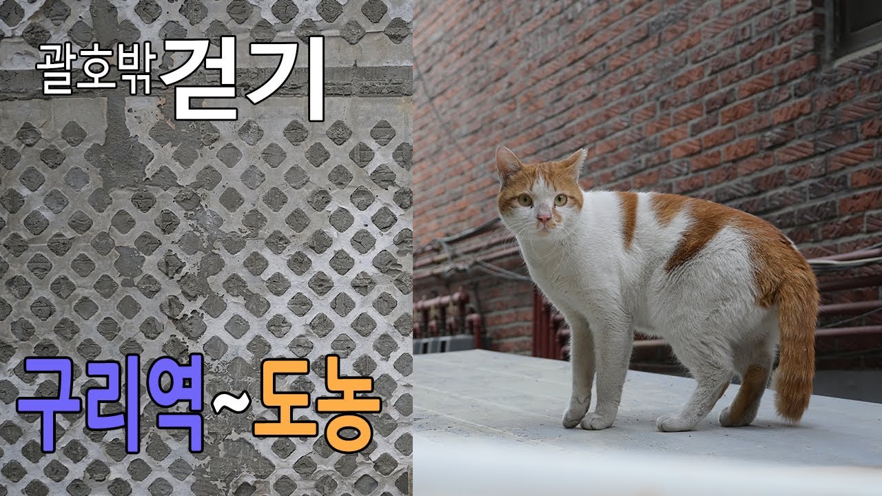 구리역에서 도농까지