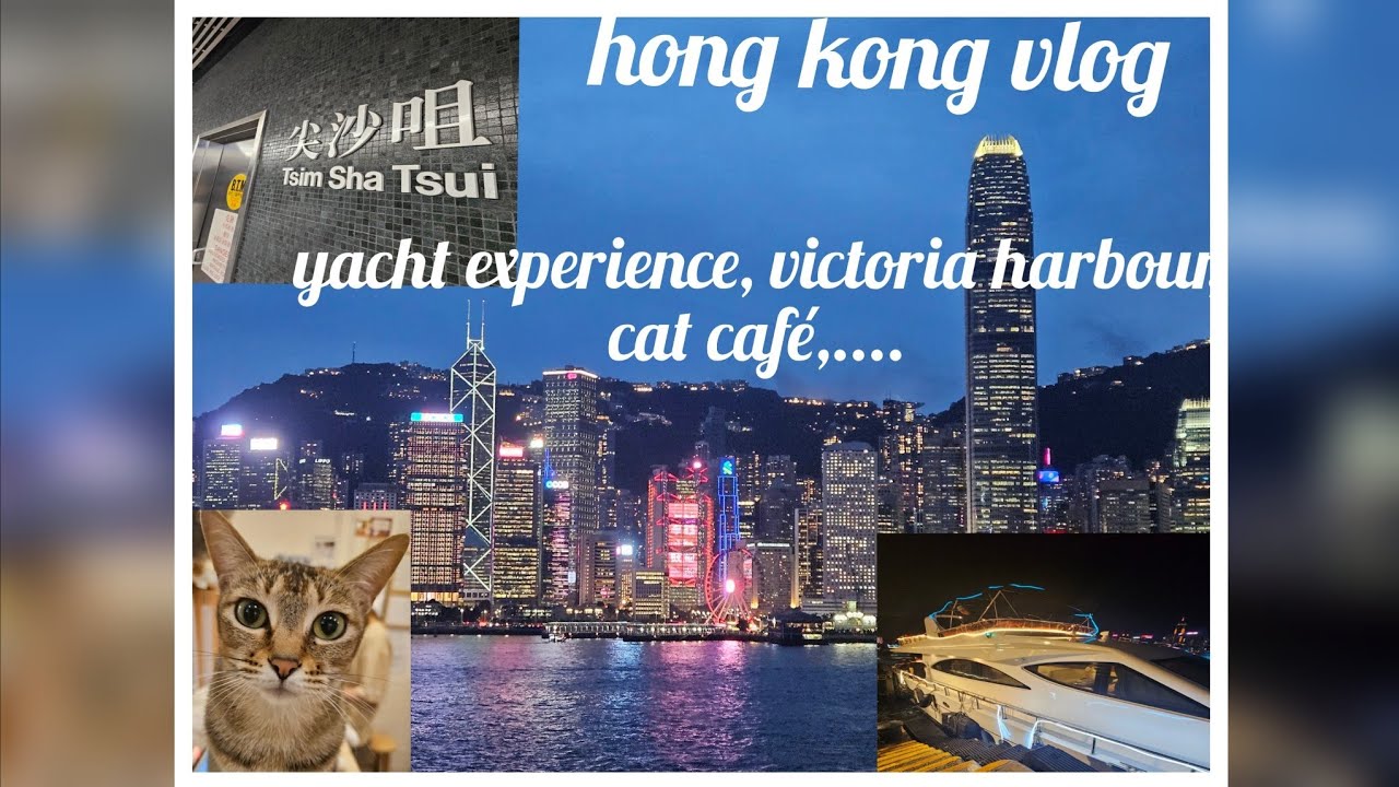 Hong Kong Vlog pt.1| Yacht ,Cat Café, Symphony of lights| #travel #hongkong  #yacht #victoriaharbour