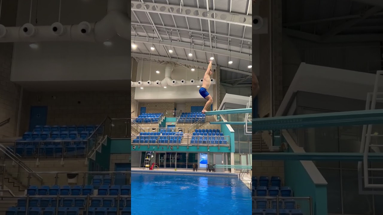 Back dive straight | 201a |  3m springboard | tips are welcome #diving #highdiving