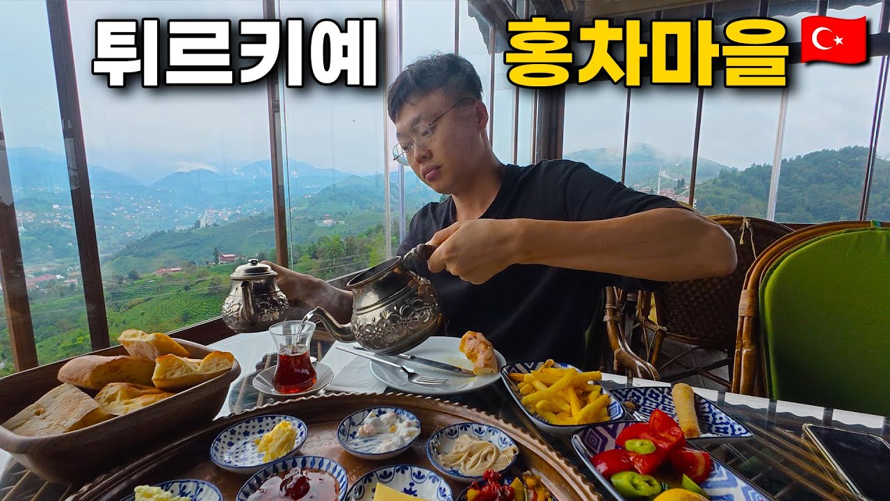홍차의 도시 리제에서 차밭에 가봤습니다 [튀르키예 여행 ep5]