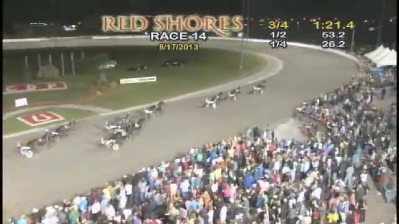2013 Gold Cup and Saucer Race