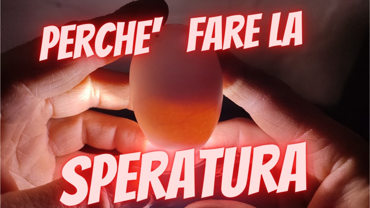 Perché  e come fare la speratura delle uova