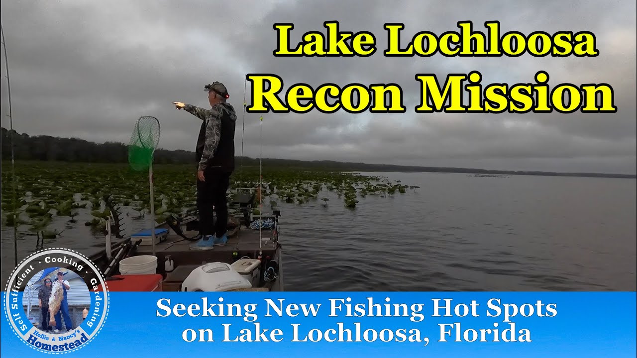 Seeking New Fishing Hot Spots on Lake Lochloosa, Florida