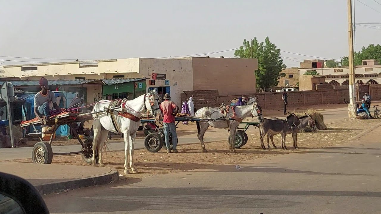 Thilogne  est une ville du nord-est du Sénégal, située à 45 km de Ourossogui et 60 km de Matam.