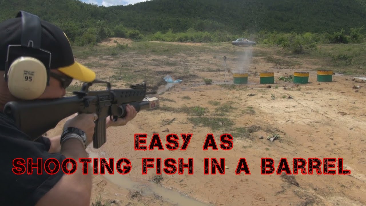 Shooting fish in a barrel